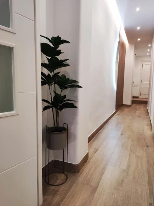 Apartamento Sierra-Sol Ronda Buitenkant foto